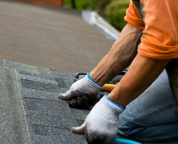 Best Commercial Roofing Services  in Dogtown, CA