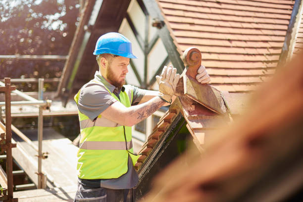 Best Roof Repair Services  in Dogtown, CA