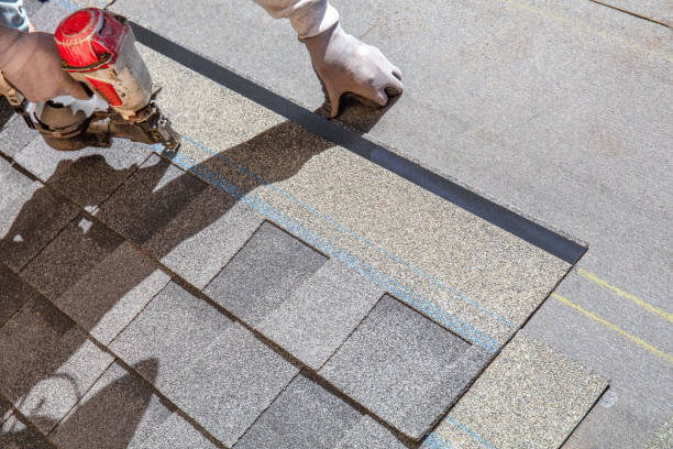 Best Roof Gutter Cleaning  in Dogtown, CA