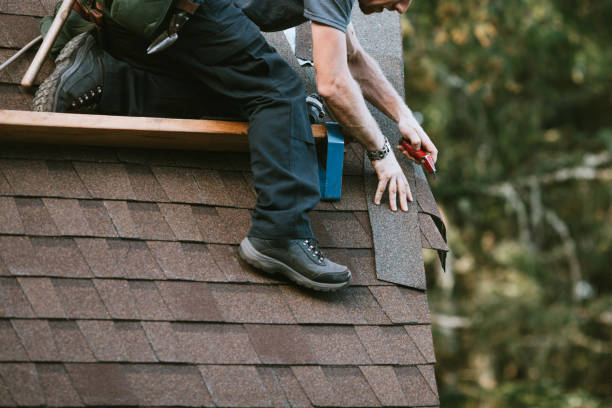 Best Shingle Roofing Installation  in Dogtown, CA